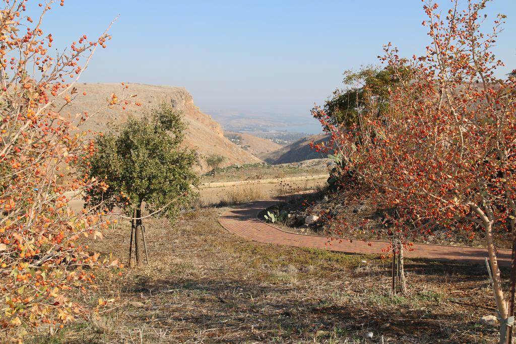 Switzerland In The Arbel Konuk evi Dış mekan fotoğraf